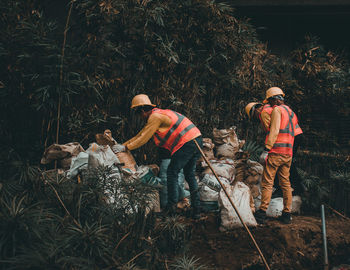 People working on field in forest