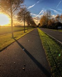 Road by trees against sky