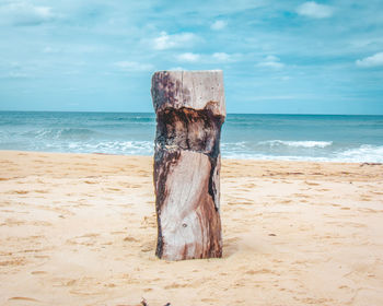 Wooden posts on beach against sky