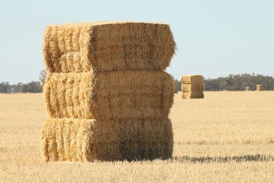 Hay bales on landscape against clear sky