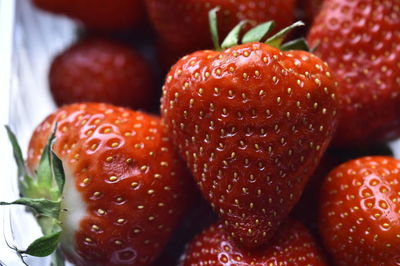 Close-up of strawberries