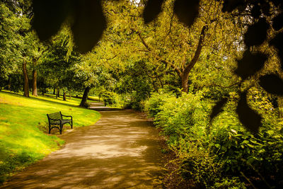 Empty bench in park