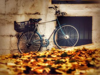 Bicycle parked in autumn