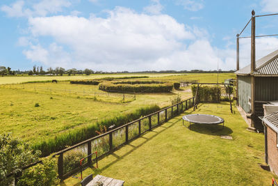 Scenic view of agricultural field against sky