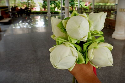 Close-up of cropped hand white holding flowers