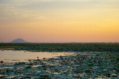 Scenic view of lake against sky during sunset