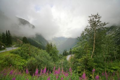 Scenic view of mountains against cloudy sky