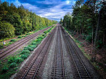 View of railroad tracks along trees