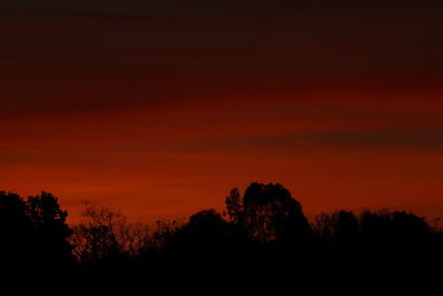 Silhouette trees in forest against sky at sunset