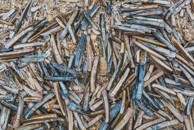 Full frame shot of fish in market