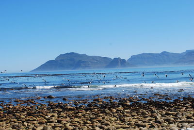 Scenic view of sea against clear blue sky