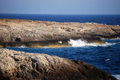 Scenic view of sea against clear sky