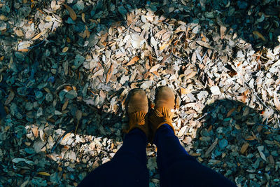 Low section of person standing on rock