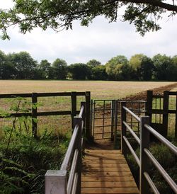 Wooden fence on landscape