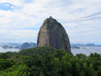 Trees against sugarloaf mountain and sea