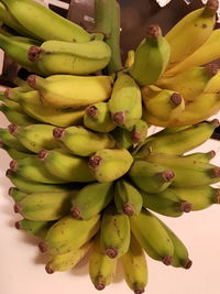 Close-up of banana tree