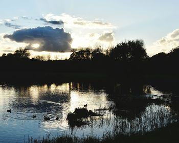 Silhouette birds by lake against sky during sunset