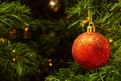 Close-up of christmas decoration hanging on tree