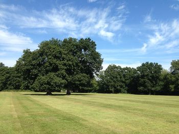 Trees on field against cloudy sky