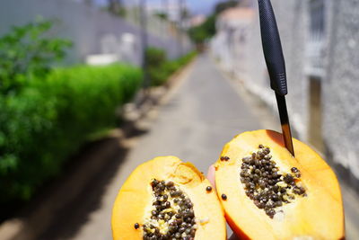 Close-up of fruits on footpath
