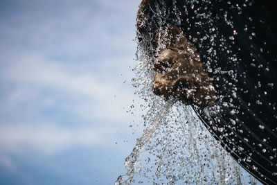 Close-up of wet against sky