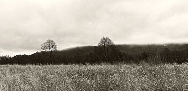 Scenic view of field against cloudy sky
