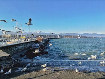 Scenic view of lake against clear sky