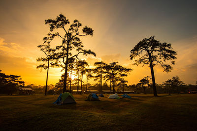 Silhouette trees on field against sky during sunset