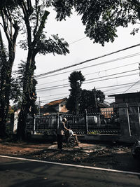 Trees by railroad tracks against sky