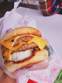 Close-up of hand holding burger