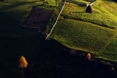 High angle view of grassy hill