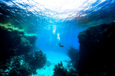 Man swimming in sea