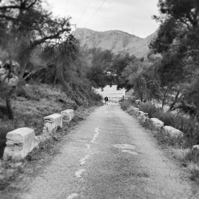 the way forward, mountain, tree, diminishing perspective, road, dirt road, vanishing point, sky, tranquility, tranquil scene, footpath, nature, transportation, landscape, leading, day, built structure, scenics, beauty in nature, outdoors