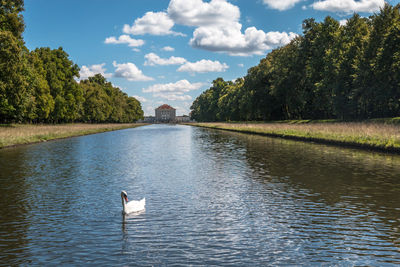 View of birds in lake