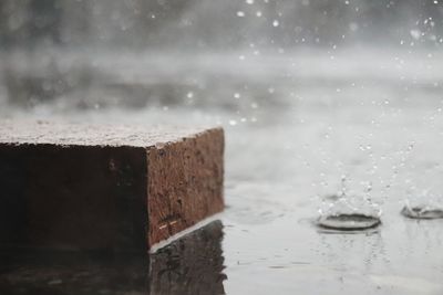 Close-up of wet wood by sea against sky