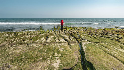 Rear view of woman standing at beach against sky
