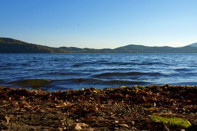 Scenic view of sea against clear blue sky