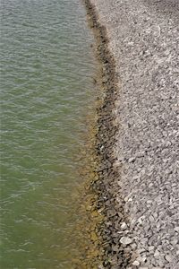 High angle view of footpath by sea