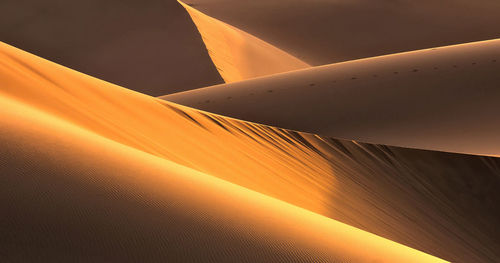 Scenic view of desert