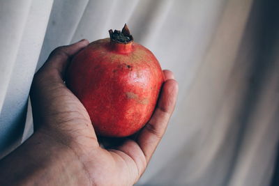 Close-up of hand holding apple