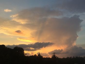 Silhouette of trees at sunset