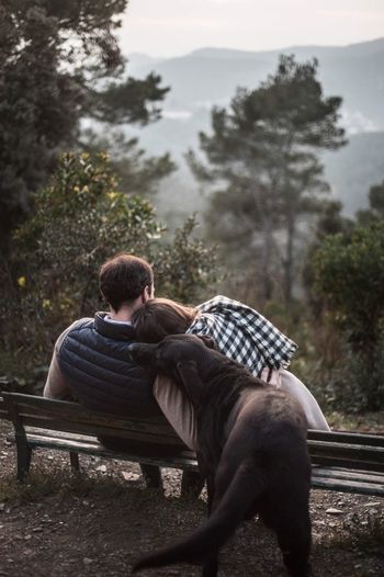 Rear view of couple with dog sitting on bench 