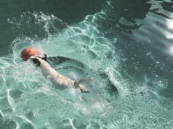Dog plunging into water going after a basketball