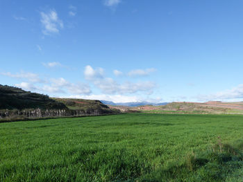 Scenic view of grassy field against cloudy sky