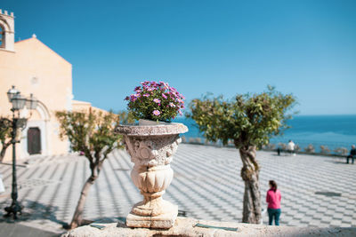 Flower pot by plants against building and blue sky