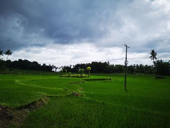 Scenic view of field against sky