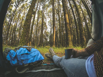 Low section of man sitting on sidewalk in forest