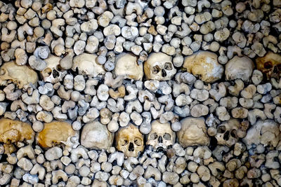 Full frame shot of skulls and bones
