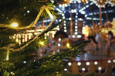 Illuminated christmas tree at night