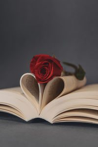 Close-up of red rose on table